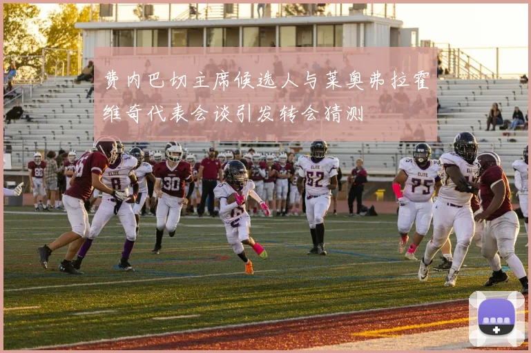 费内巴切主席候选人与莱奥弗拉霍维奇代表会谈引发转会猜测